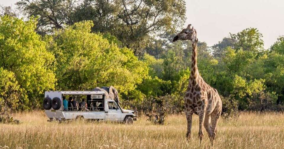 Family Botswana and Zimbabwe Safari Adventure - Explore - Zimbabwe