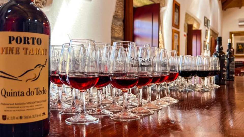 Family Club: Porto, the Douro valley (Portugal) and Salamanca (Spain) (port-to-port cruise) - Tweet World Travel - Portugal - Image 5