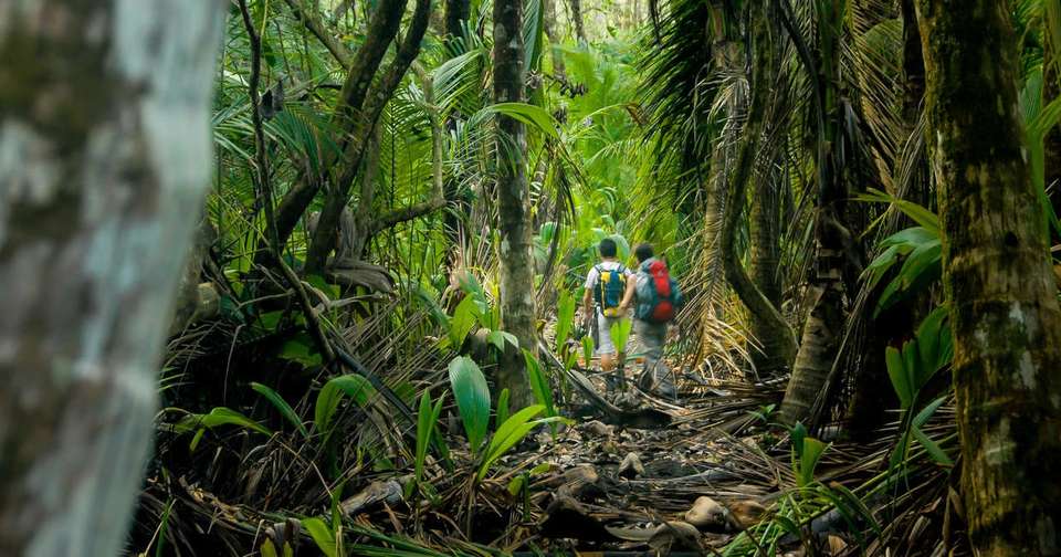 Family Costa Rica Rainforest and Wildlife Adventure - Explore - Costa Rica - Image 6