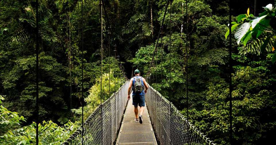 Family Costa Rica Rainforest and Wildlife Adventure - Explore - Costa Rica - Image 4