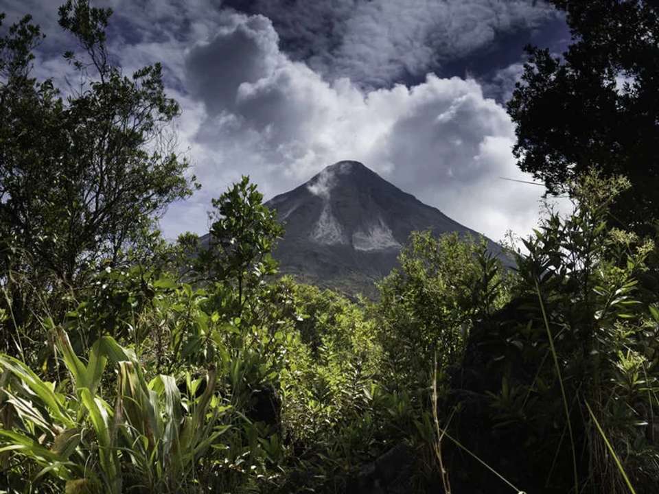 Image 6 of 17
