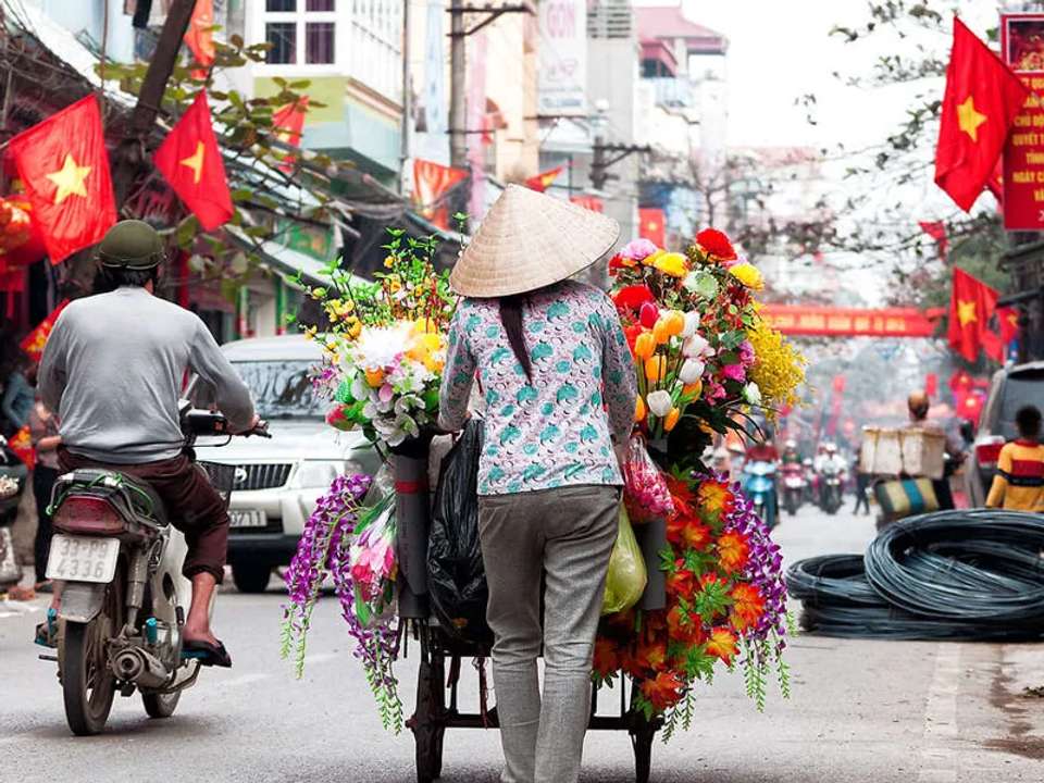 Family Discover Vietnam - undefined - Image 5