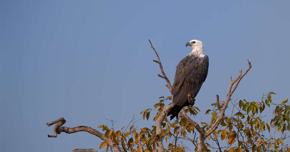 Family Highlights of Sri Lanka - Explore - Sri Lanka