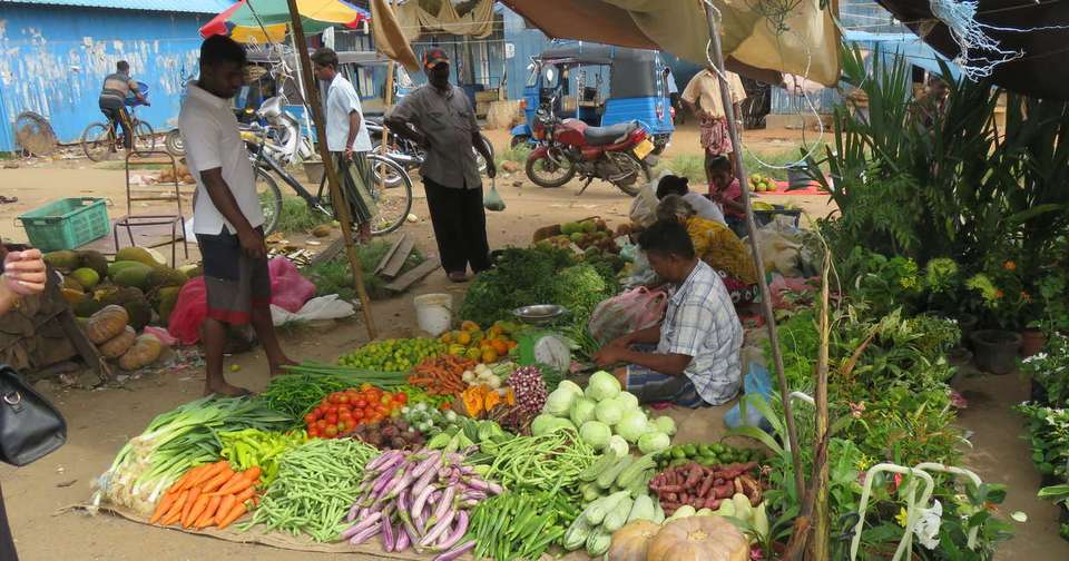 Family Highlights of Sri Lanka - Explore - Sri Lanka