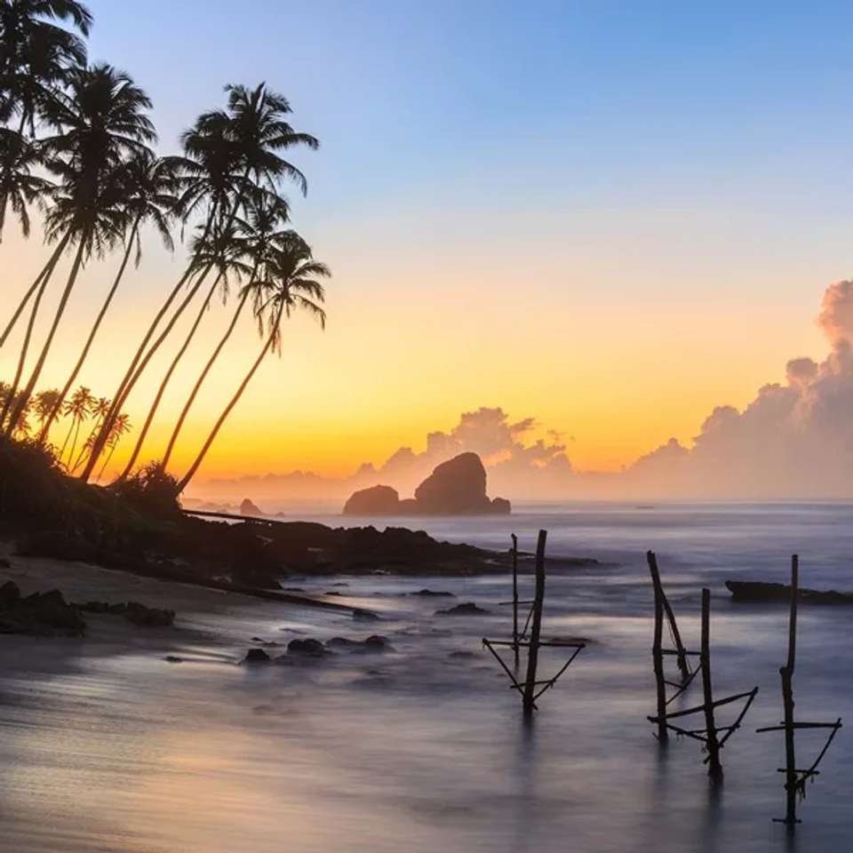 Image 3 of 17