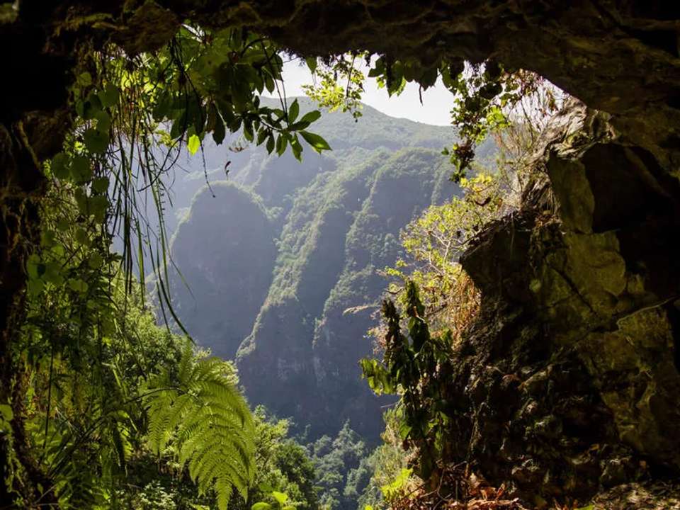 Family Madeira Adventure - undefined - Image 3