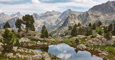 Rafting Tour: Family Pyrenees Multi-activity Adventure