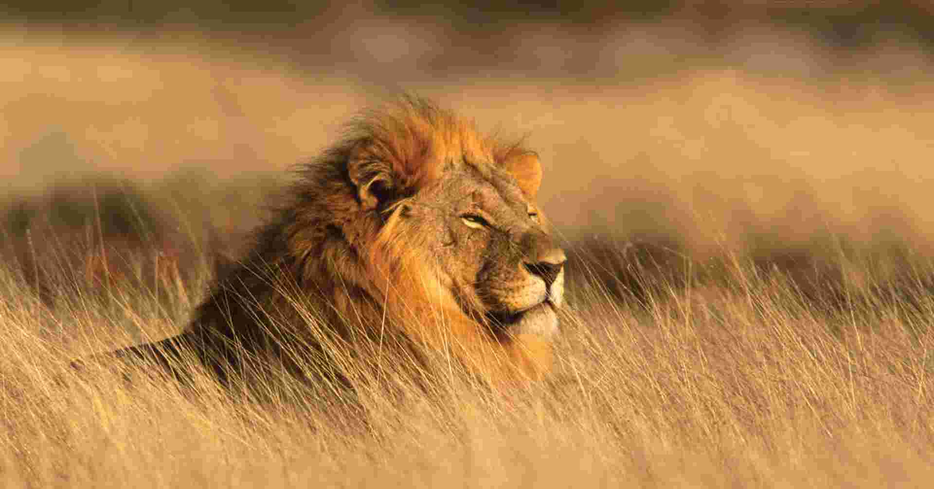 Family South Africa Safari and Beach Adventure