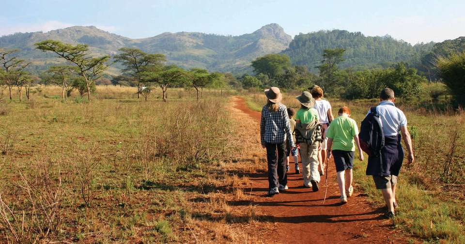 Family South Africa Safari and Beach Adventure - Explore - South Africa - Image 7