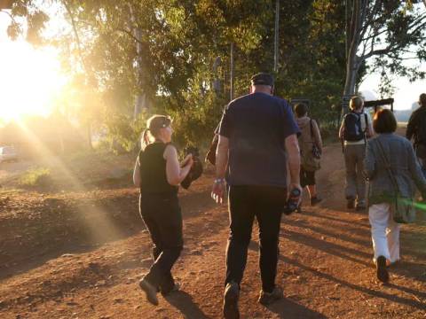 Active And Outdoor Tour: Family South Africa Safari And Beach Adventure