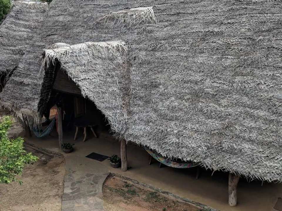 Image 14 of 20