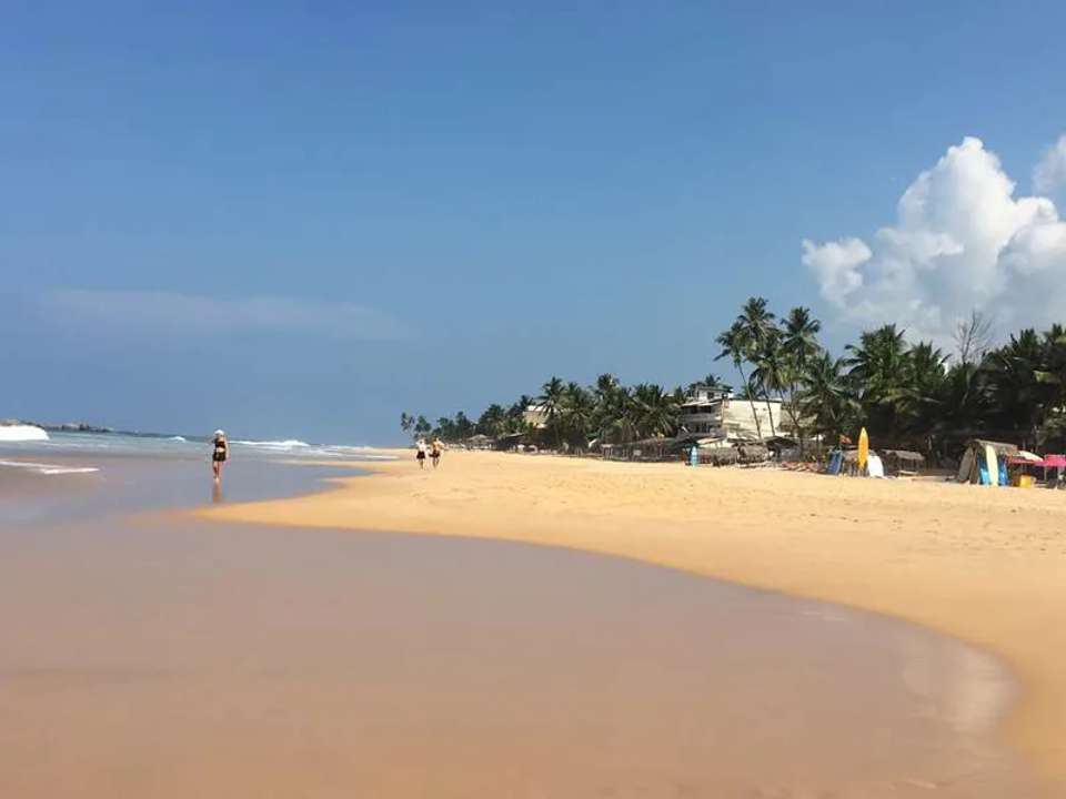 Image 6 of 20