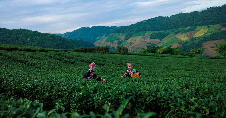 Family Thailand: Best of the North - Explore - Thailand - Image 11