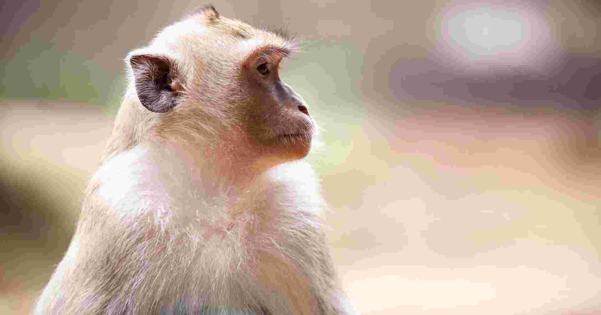 Family Vietnam, Cambodia & Thailand Journey