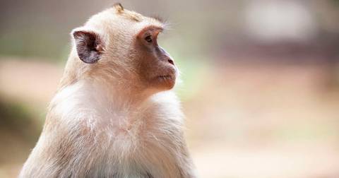 Family Vietnam, Cambodia & Thailand Journey