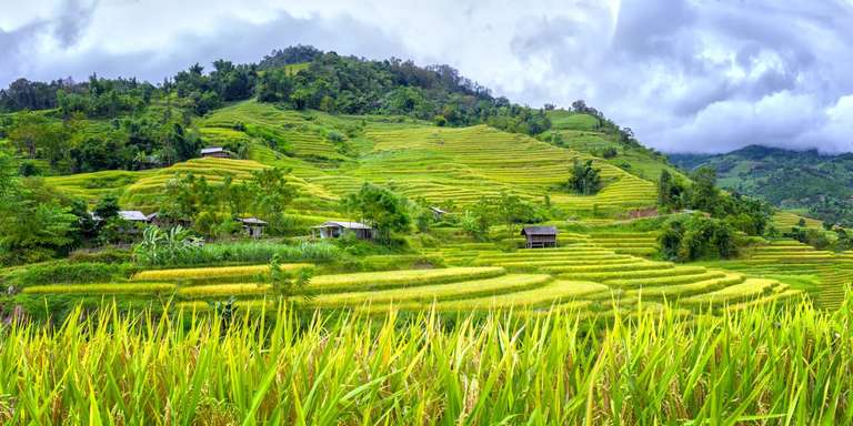 Family Vietnam In Depth trip - alternative tour available