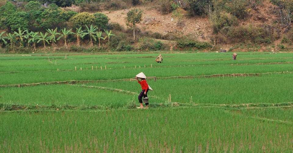 Family Vietnam In Depth - Explore - Vietnam - Image 13