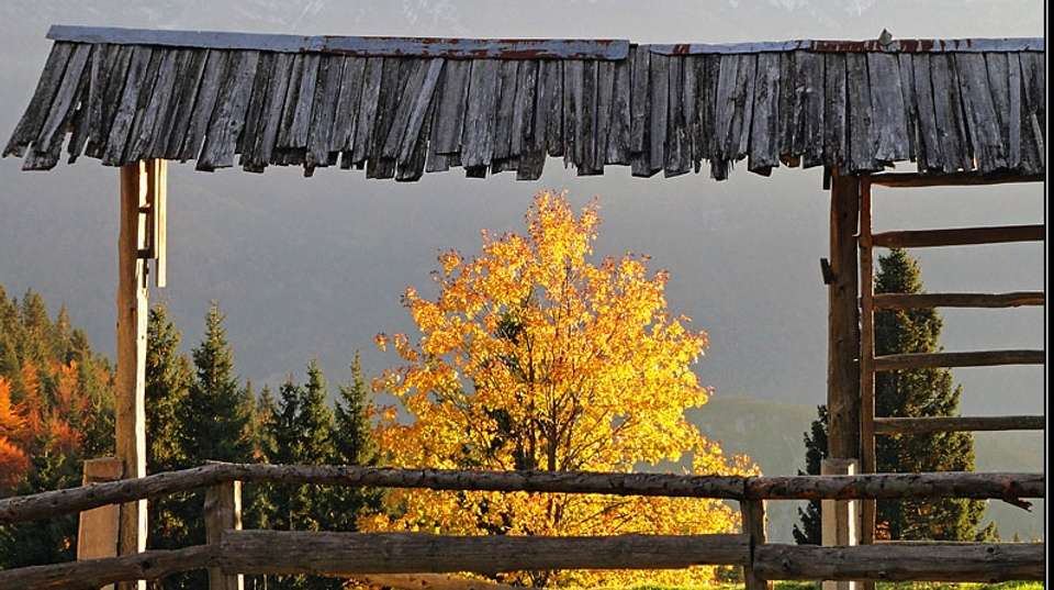 Feel the Slovenian Beauty - Grand Cuvée Tours - Slovenia - Image 1