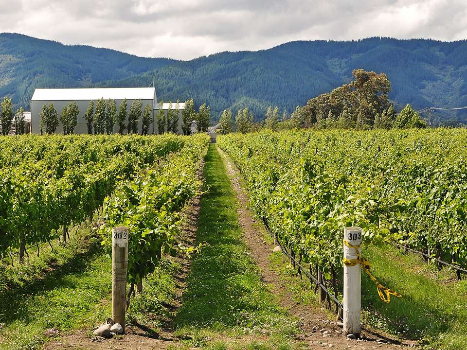 Festive Journey Through New Zealand (Superior) - 17 days - On The Go Tours - New Zealand - Image 10