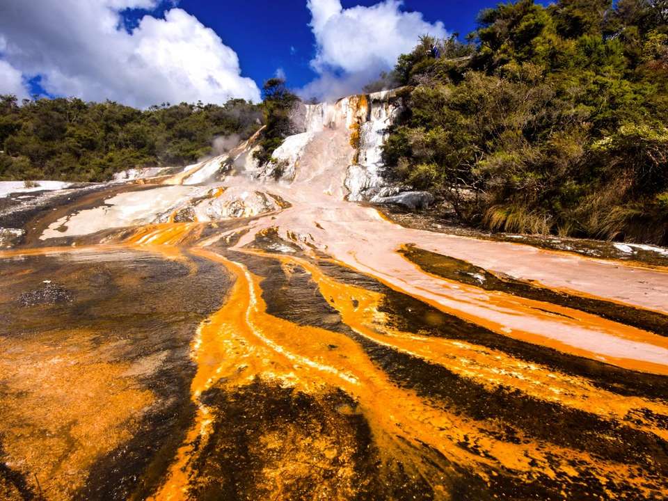 Festive Journey Through New Zealand (Superior) - 17 days - On The Go Tours - New Zealand - Image 8
