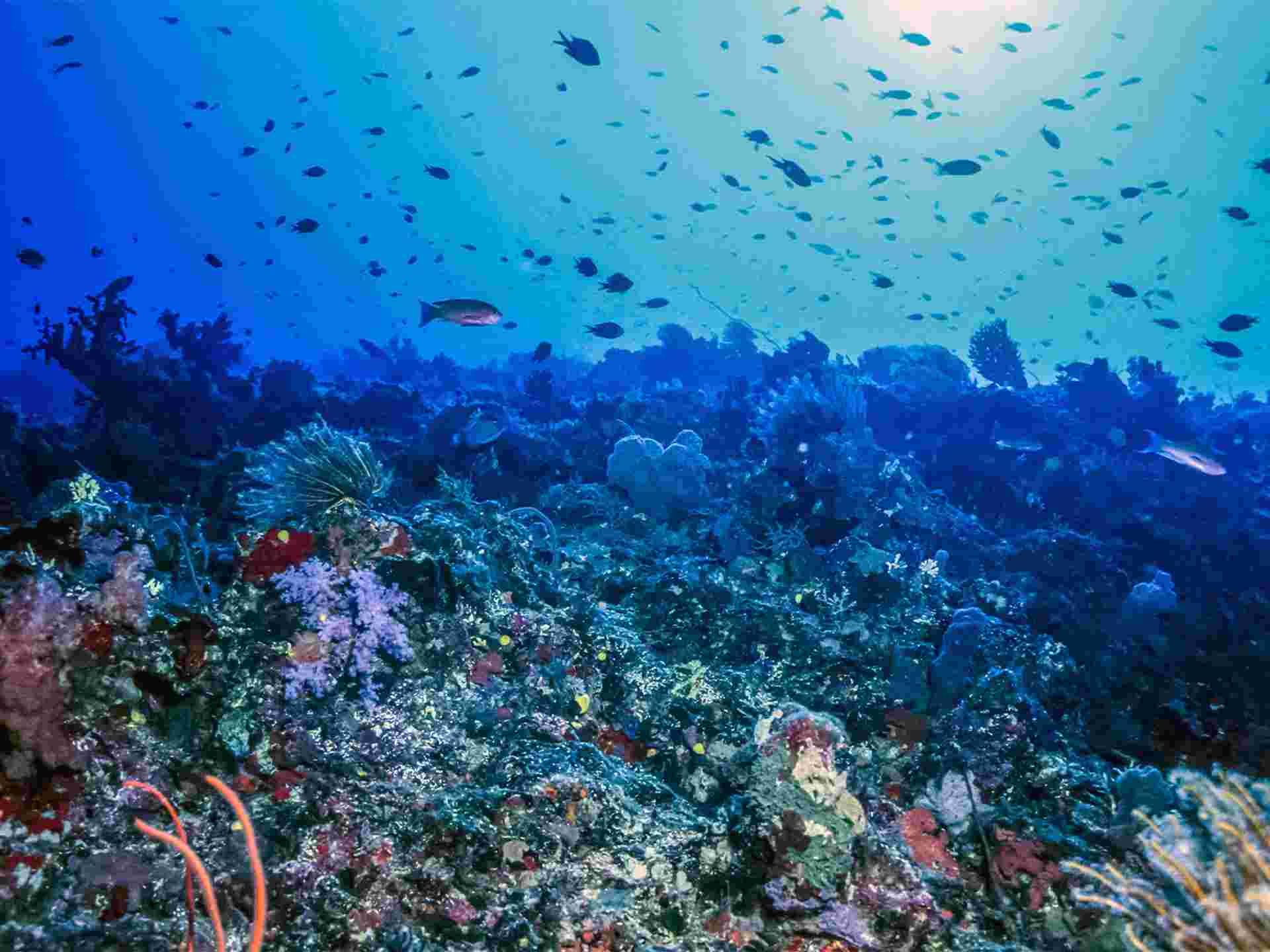 Fiji Beach Break - 6 days