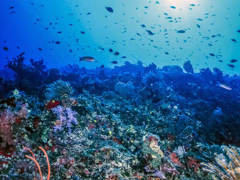 Fiji Beach Break - 6 days trip - alternative tour available