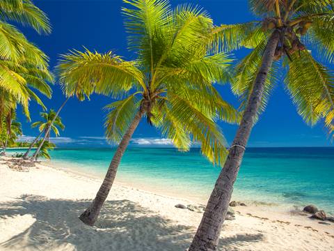 Fiji Explorer & Cruise - 9 Days
