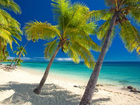 Fiji Explorer & Cruise - 9 Days - 9 Days