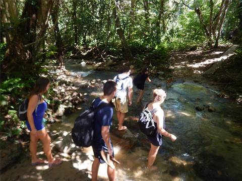 Fiji Viti Levu Island Experience 6d/5n