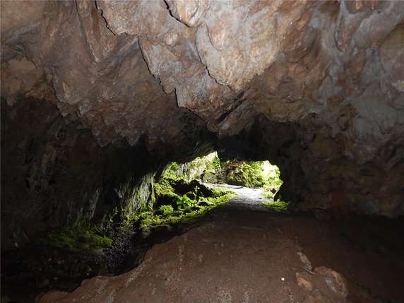 Image 2 of 5