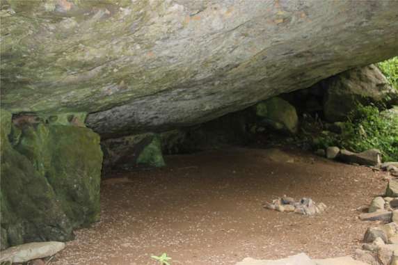Image 4 of 5