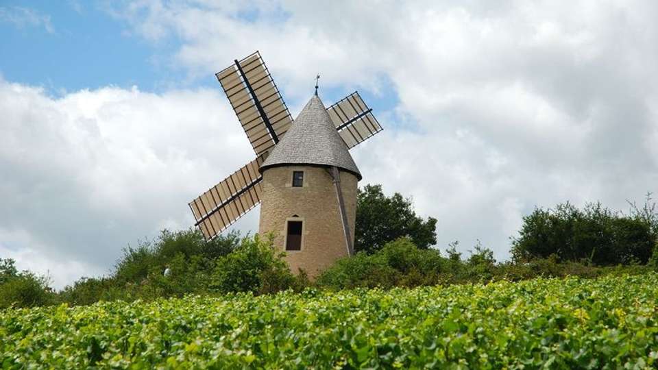 Fine Food and Wines on a Cruise through the Burgundy Region (port-to-port cruise) - Tweet World Travel - France - Image 6
