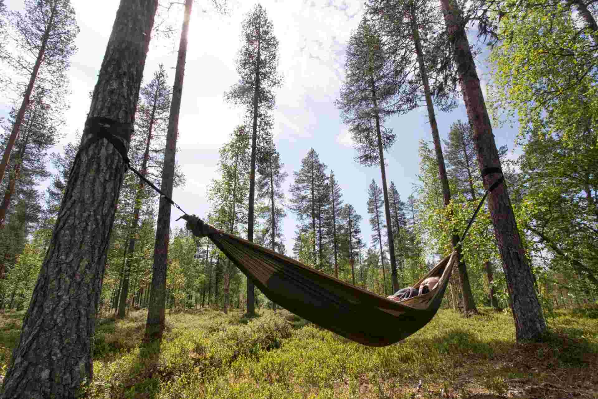 Finland Family Holiday