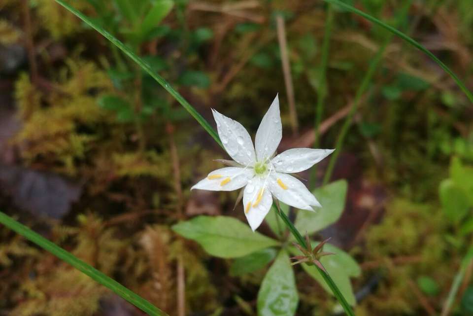 Finland Family Holiday - Intrepid Travel - Finland