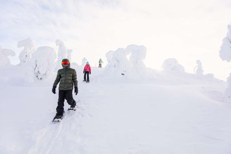 Finland Family Winter Adventure - Exodus Adventure Travels - Finland - Image 18