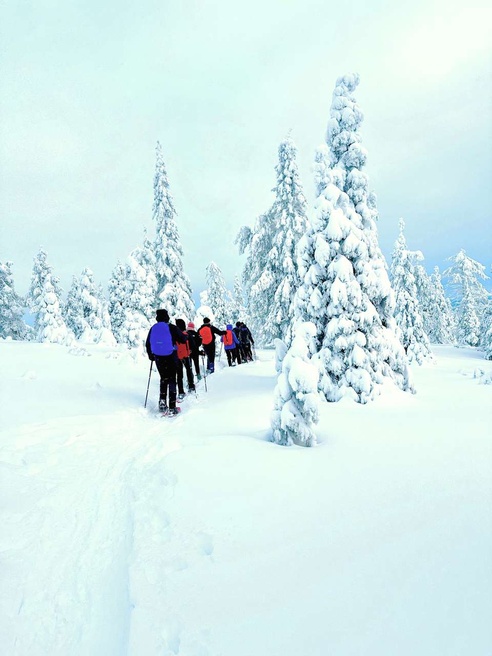 Finland Family Winter Adventure - Exodus Adventure Travels - Finland - Image 17