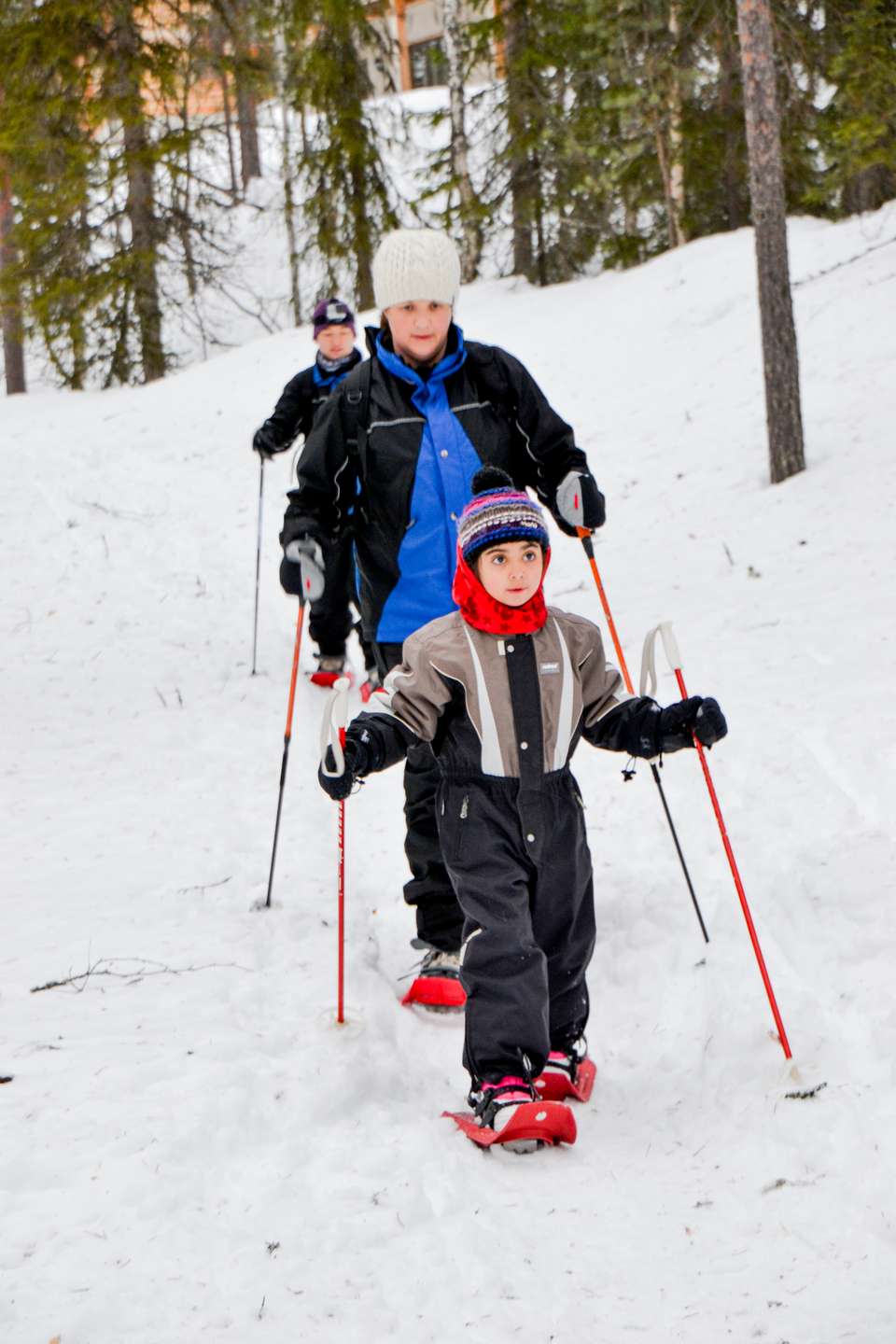 Finland Family Winter Adventure - Exodus Adventure Travels - Finland - Image 16