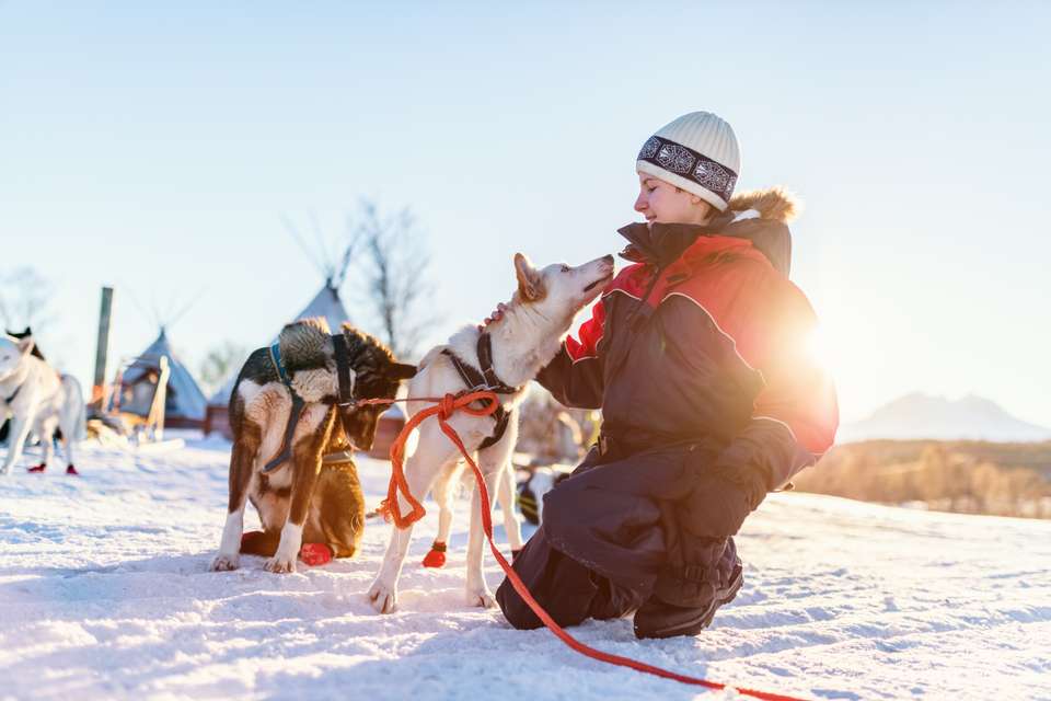 Finland Family Winter Adventure - Exodus Adventure Travels - Finland - Image 14
