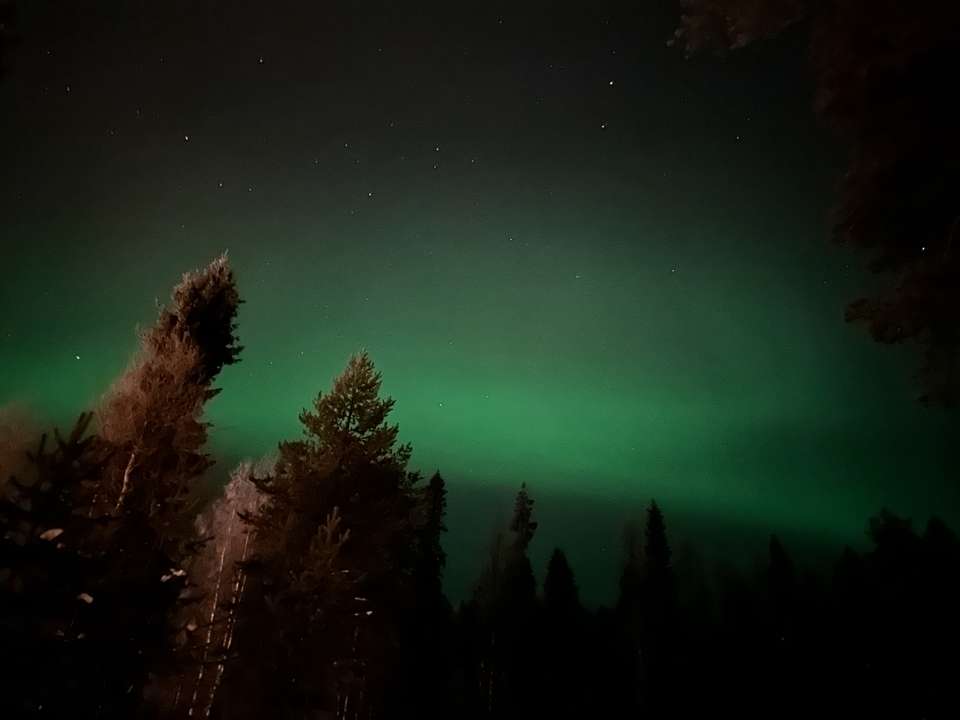Finland Family Winter Adventure - Exodus Adventure Travels - Finland - Image 2