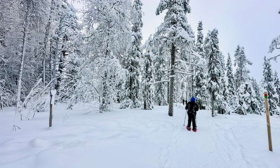 Finland Family Winter Adventure - Exodus Adventure Travels - Finland - Image 3