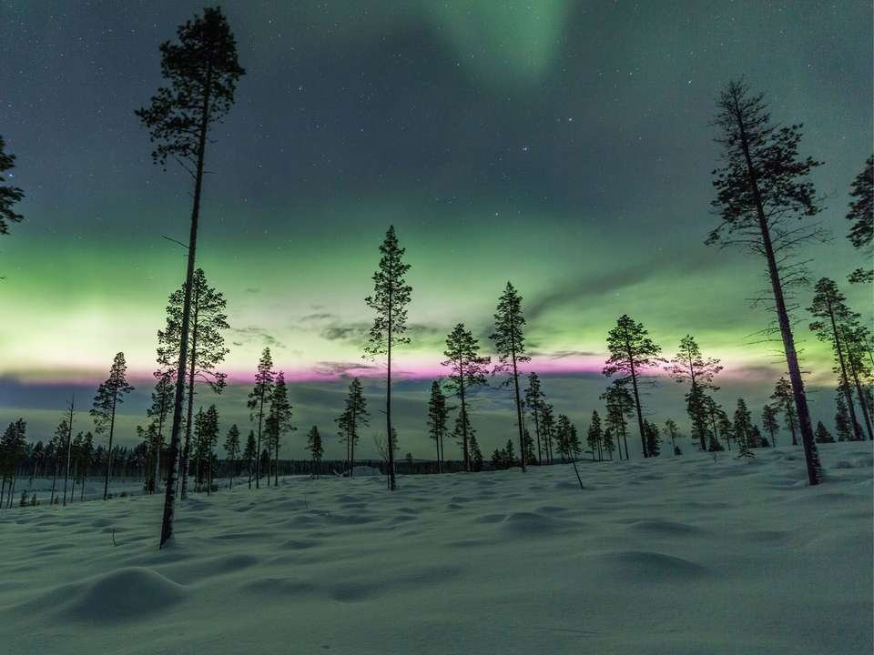 Finland Wilderness Discovery - 5 Days - On The Go Tours - Finland - Image 3