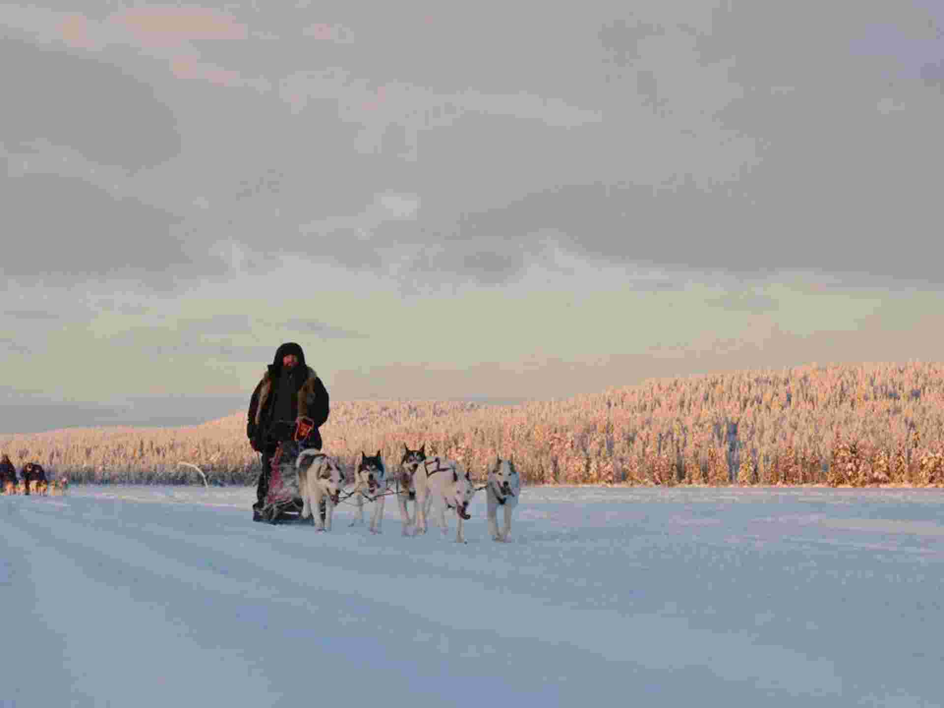 Finland Wilderness Express - 4 Days