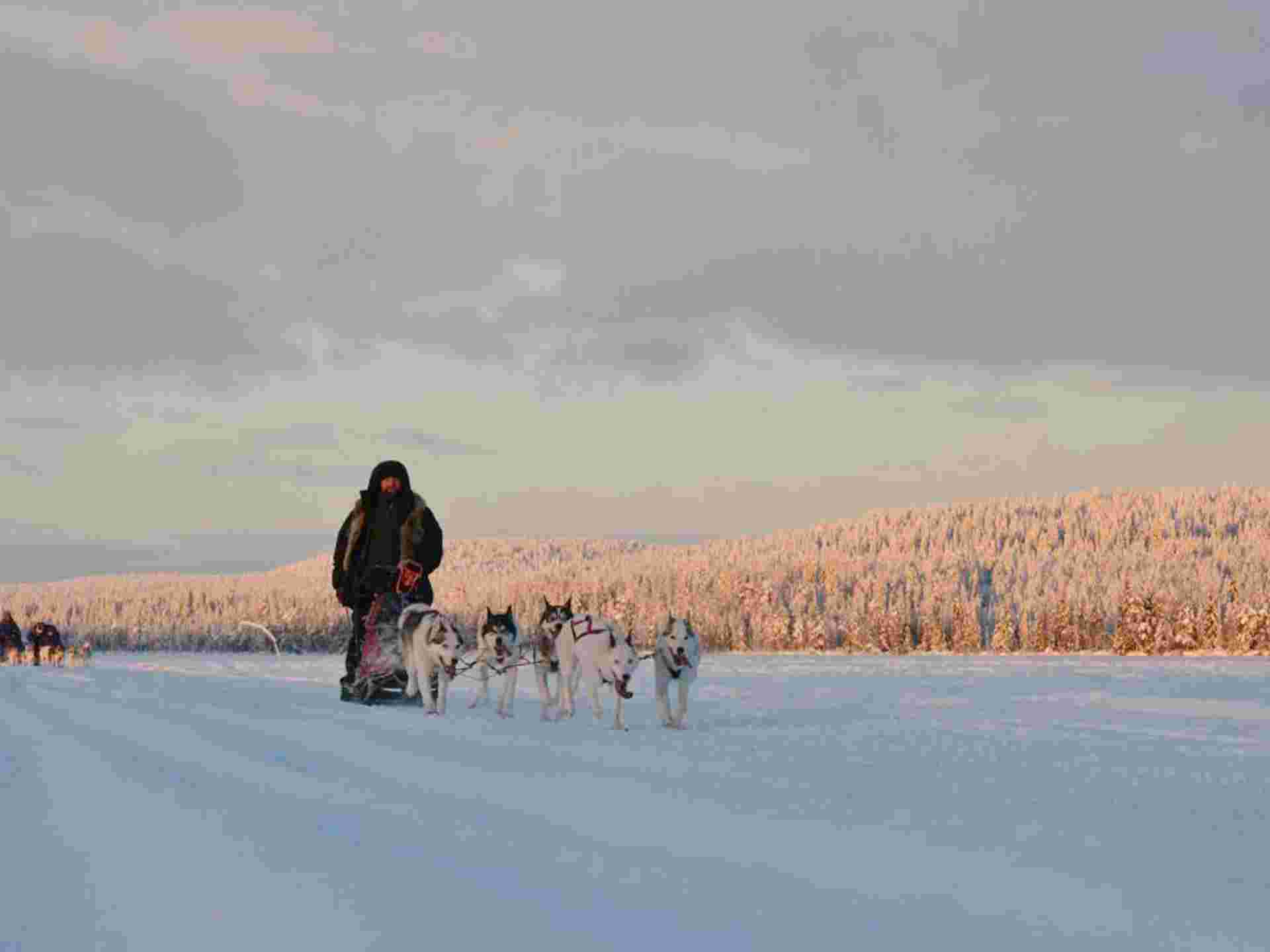 Finland Wilderness Express (Igloo) - 4 Days