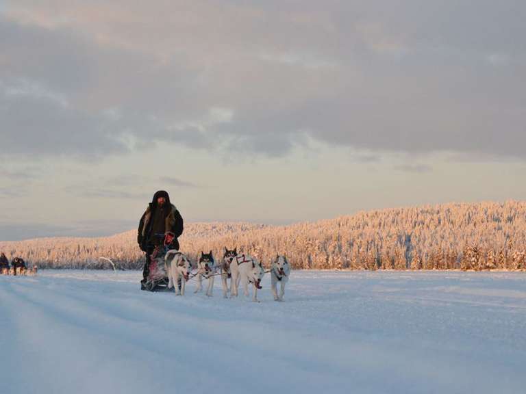 Finland Wilderness Express (Igloo) - 4 Days trip - alternative tour available
