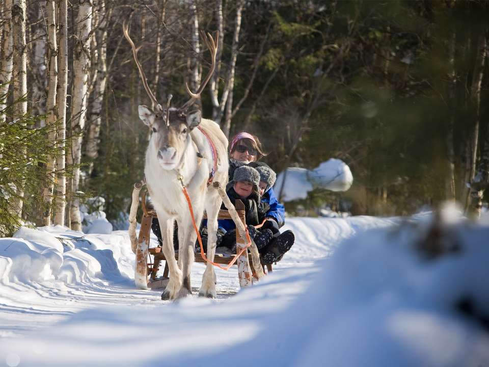Finland Wilderness Express (Igloo) - 4 Days - On The Go Tours - Finland