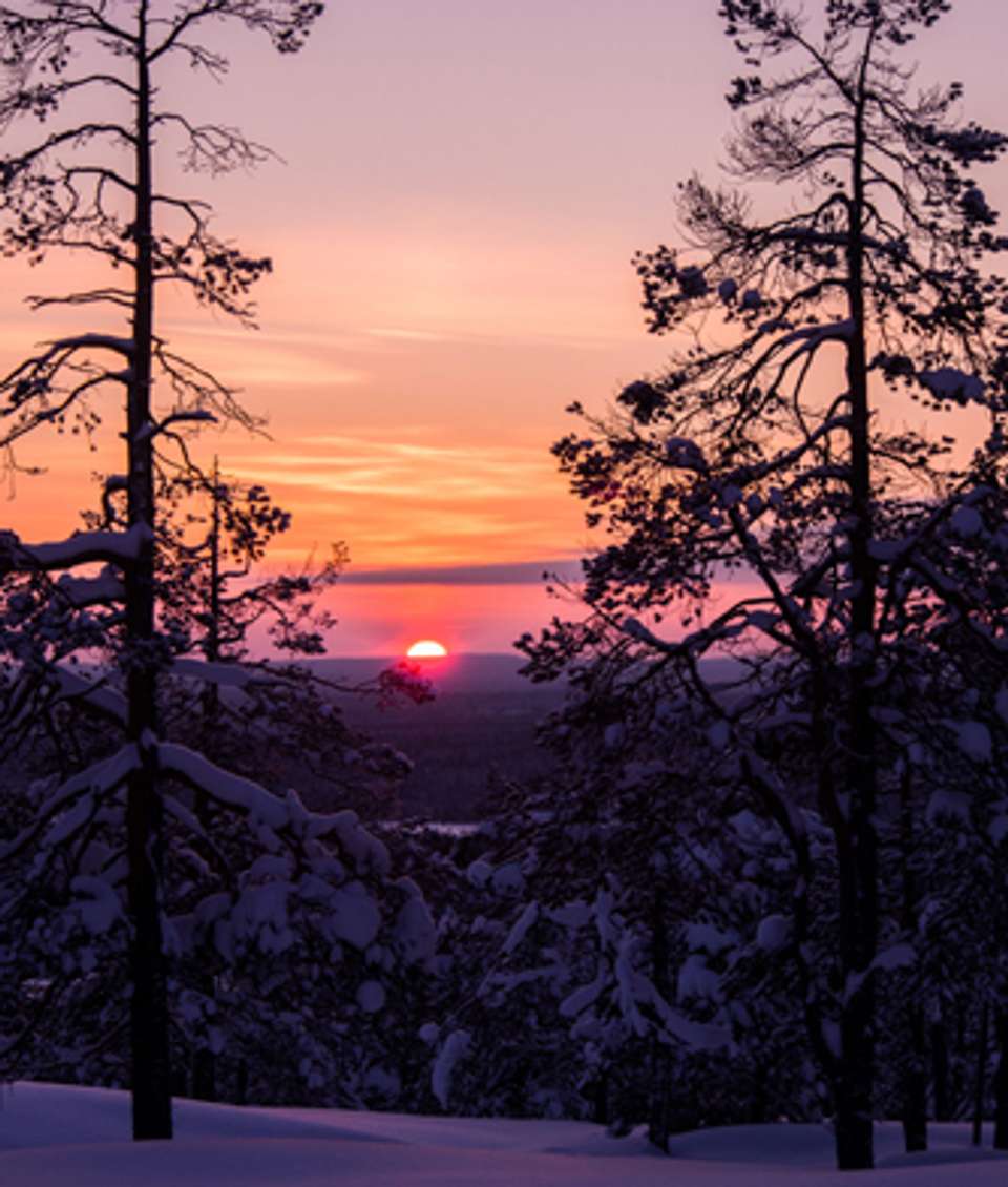 Finland Wilderness Express (Igloo) - 4 Days - On The Go Tours - Finland