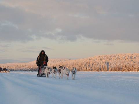 Finland Eco Tours: Finland Wilderness Express (igloo) - 4 Days