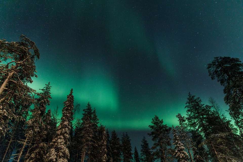 Finnish Lapland in Winter - Intrepid Travel - Finland - Image 2