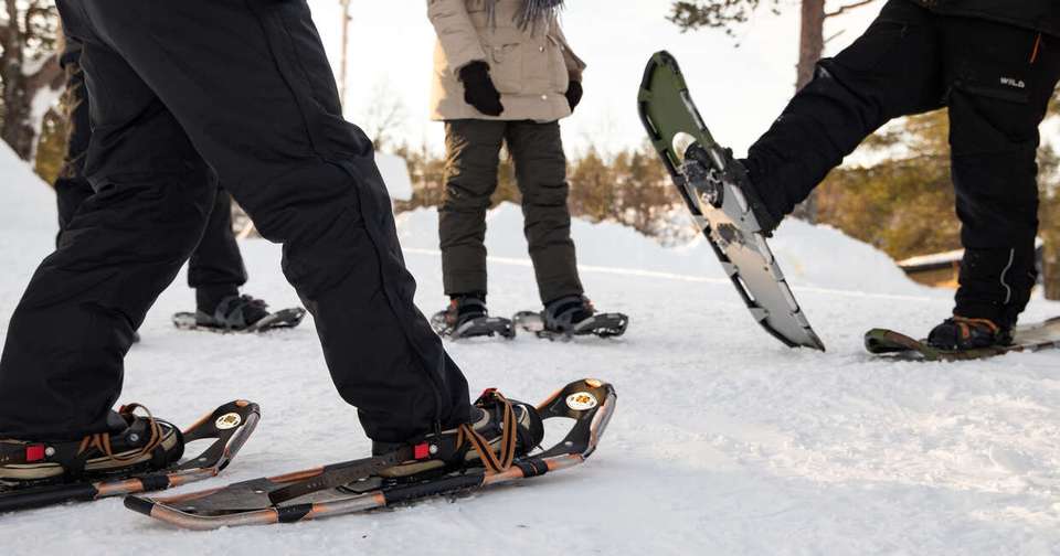 Finnish Lapland Winter Adventure - Explore - Finland - Image 2