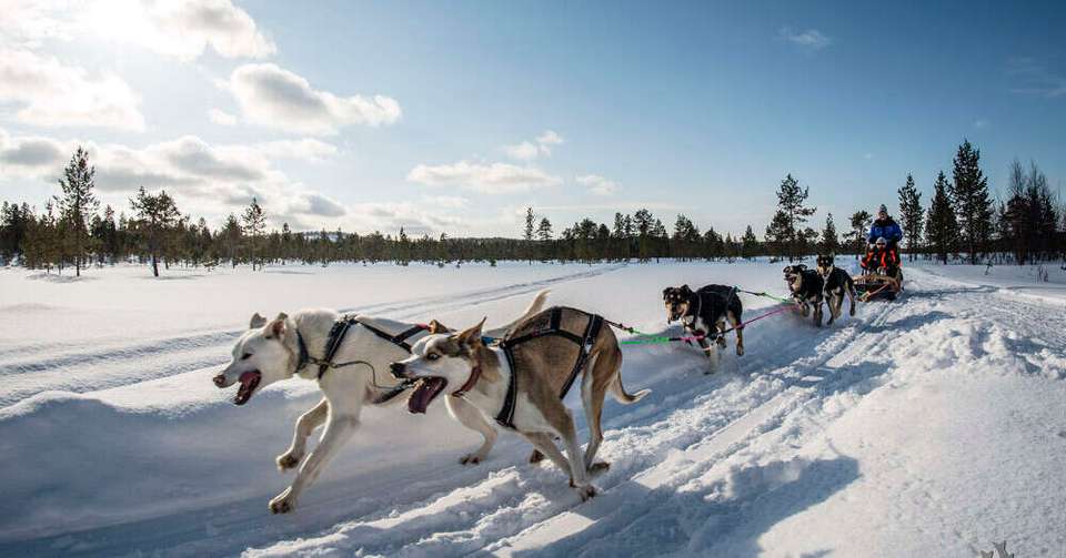 Finnish Lapland Winter Adventure - Explore - Finland - Image 4